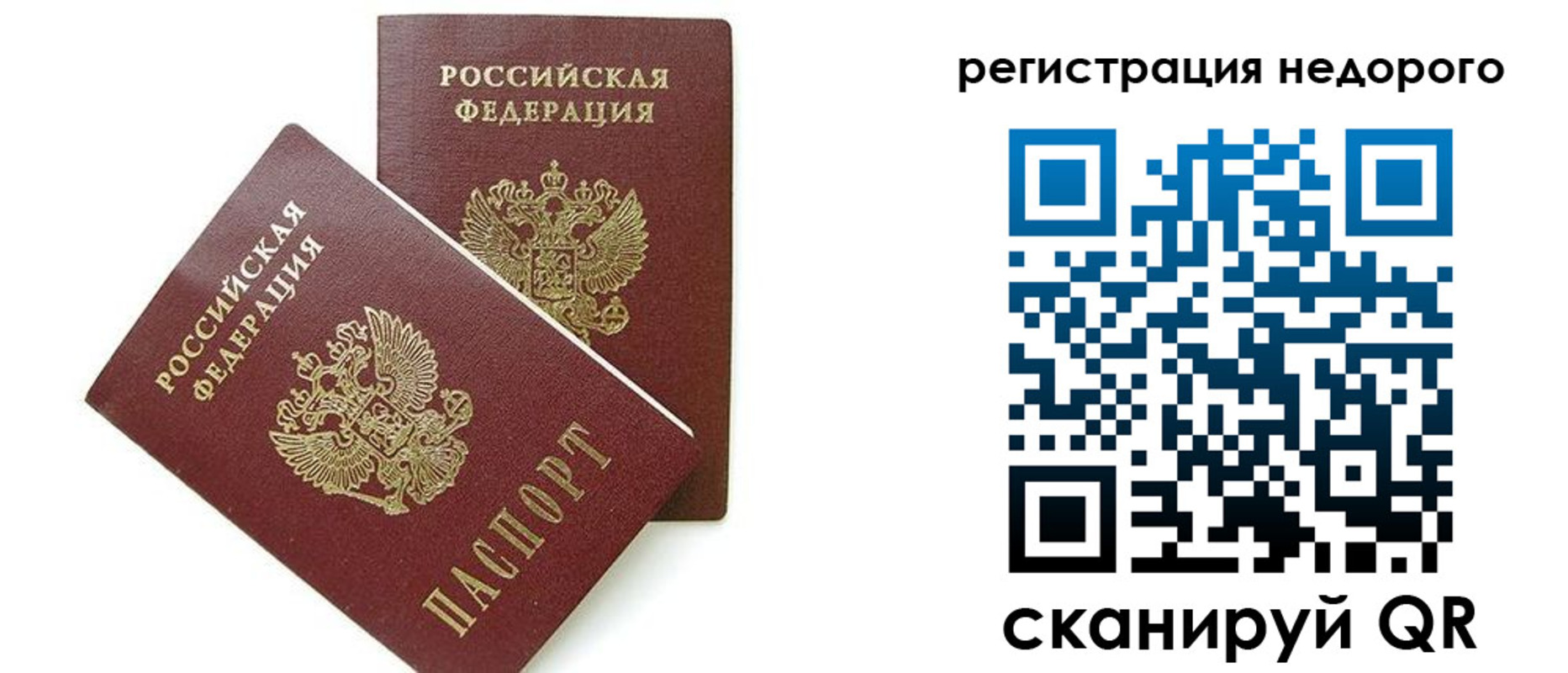 прописка в квартире в Фрязино