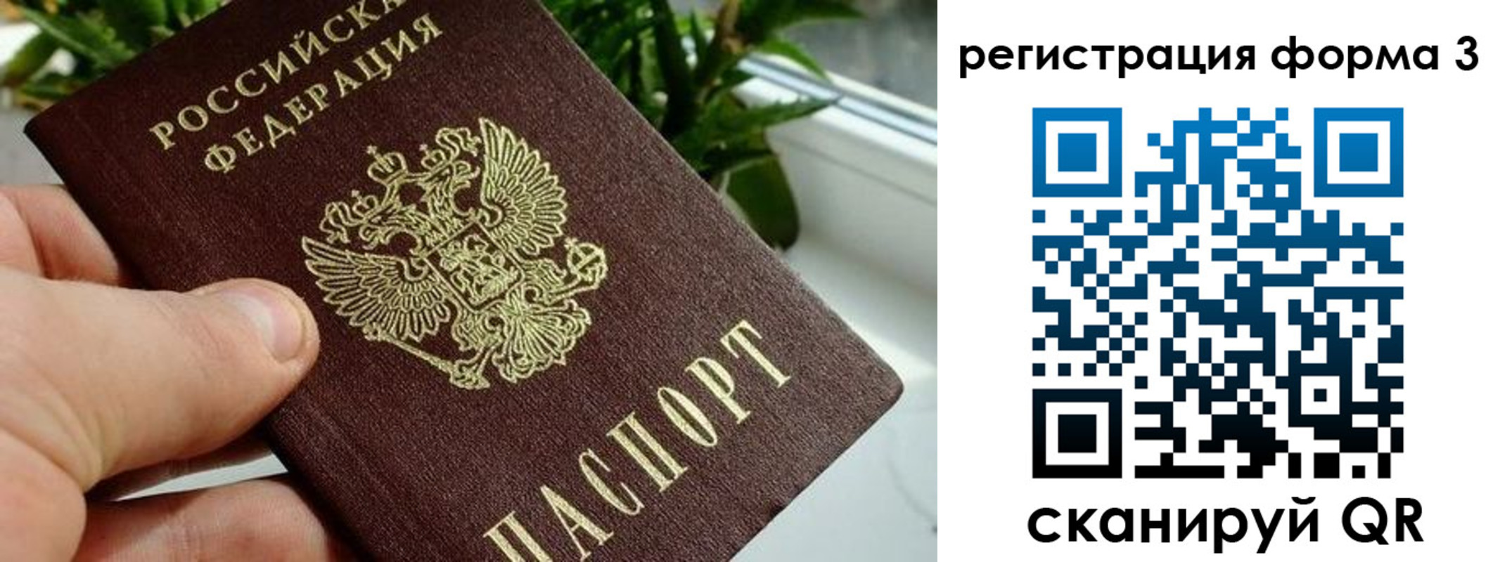 прописка штамп в Фрязино